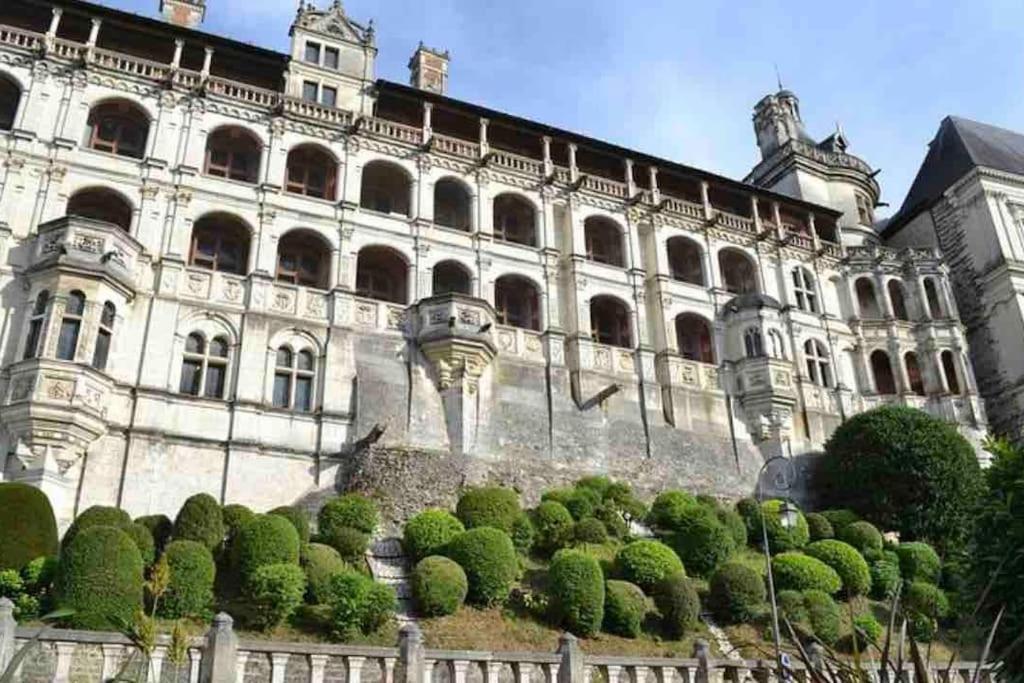 Appartement Coeur De Blois /Heart Of The City Exterior photo